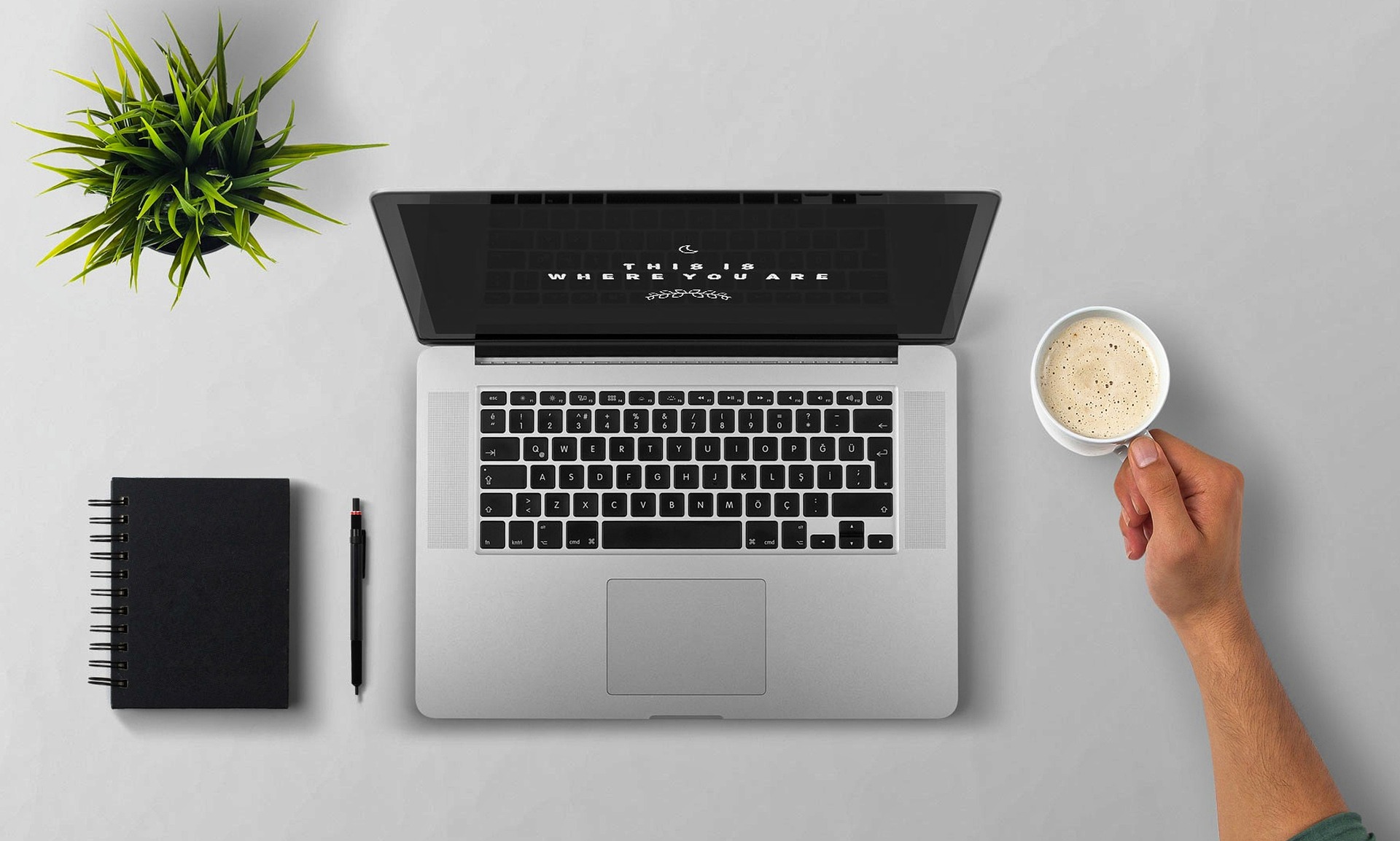 Degordianov Ahelon je u potrazi za Business Development Assistantom (m/ž)